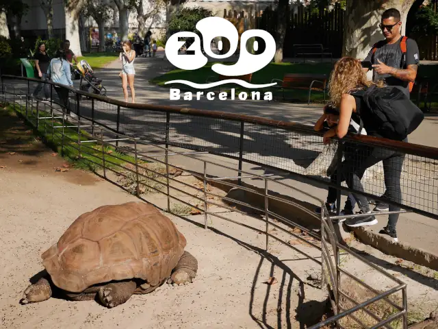 Zoo de Barcelona